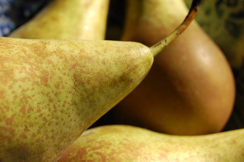 How looks like a fresh pear?